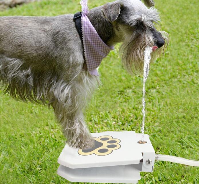 Dogs Water Fountain