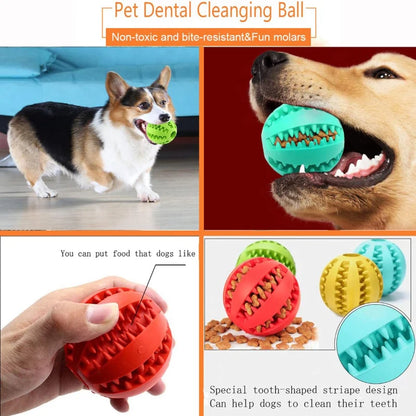 MyWagly™ ChewBuddy Ball