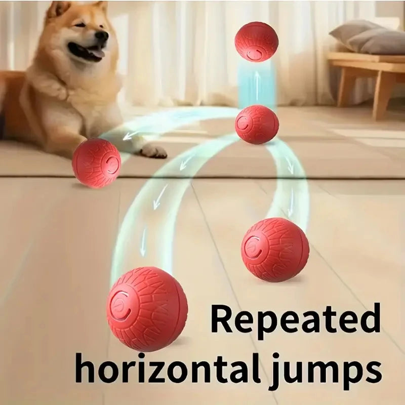 MyWagly™ RoboRoll Ball