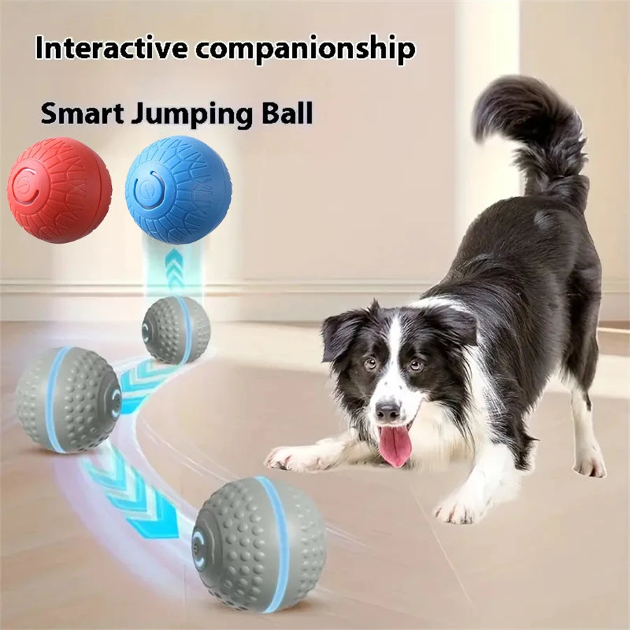 MyWagly™ RoboRoll Ball