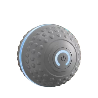 MyWagly™ RoboRoll Ball