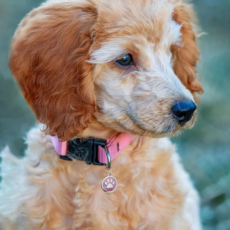 MyWagly™ PawGuard Tag