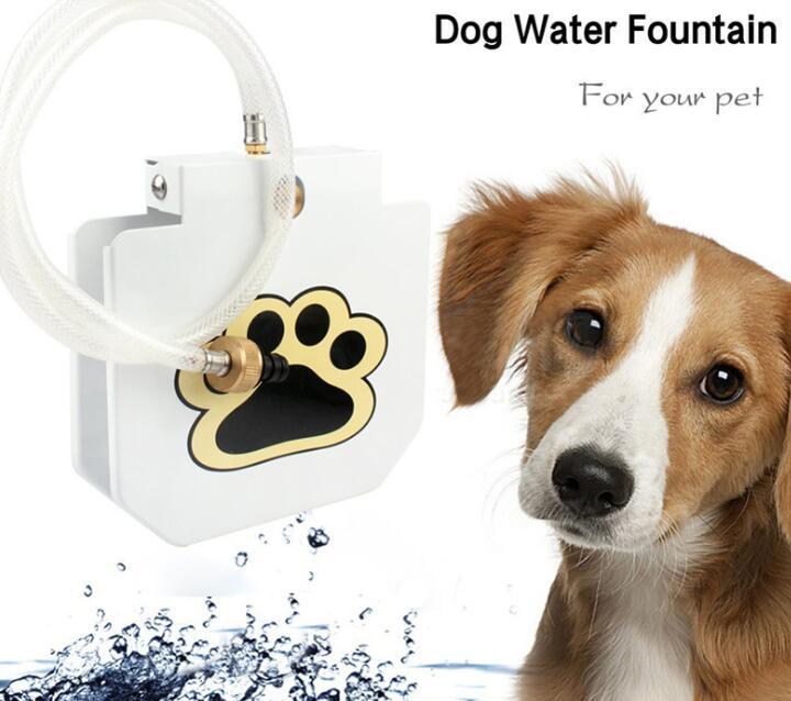 Dogs Water Fountain
