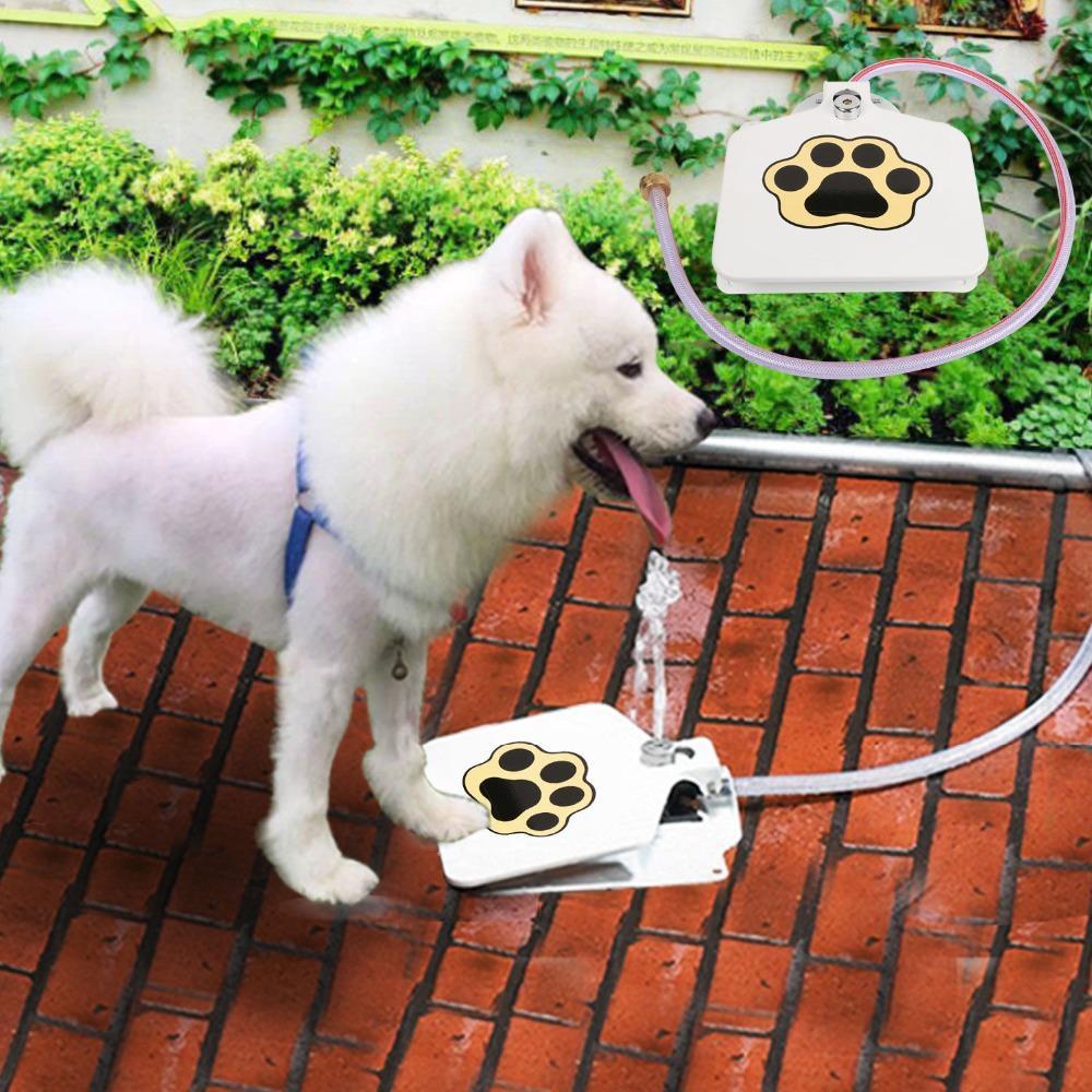 Dogs Water Fountain